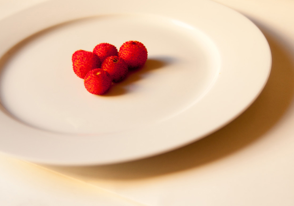 Trastornos de alimentación